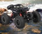Lenoxx Amphibious Crawler RC Car - Black 2