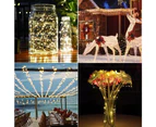 Outdoor 20m Solar Powered Fairy String Light for Garden and Christmas Party Decoration - Warm white