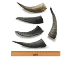 Get Wag Small Goat Horn Dog Treats in pack