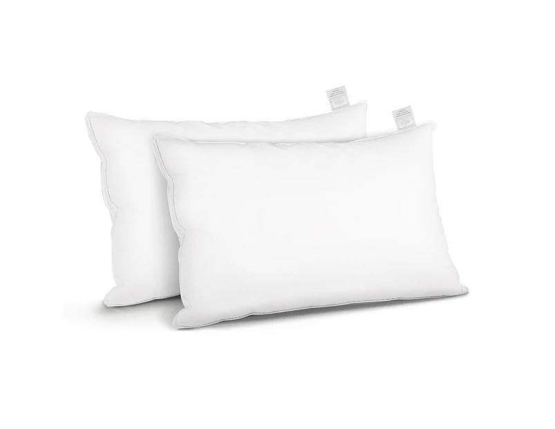 Set of 2 Goose Feather Down Pillow