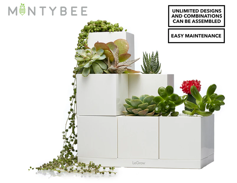 Mintybee LeGrow Indoor Self Watering Basic Planter Kit