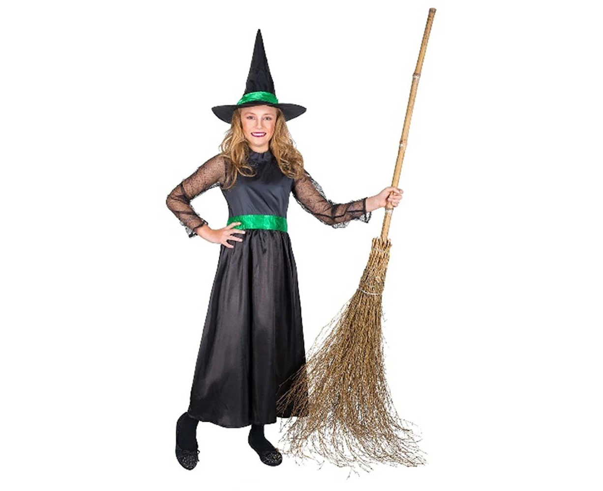 Storybook Wicked Witch Child Costume