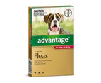 Advantage for Dogs 10-25 kgs - 4 Pack - Red - Flea Control Treatment (Bayer)