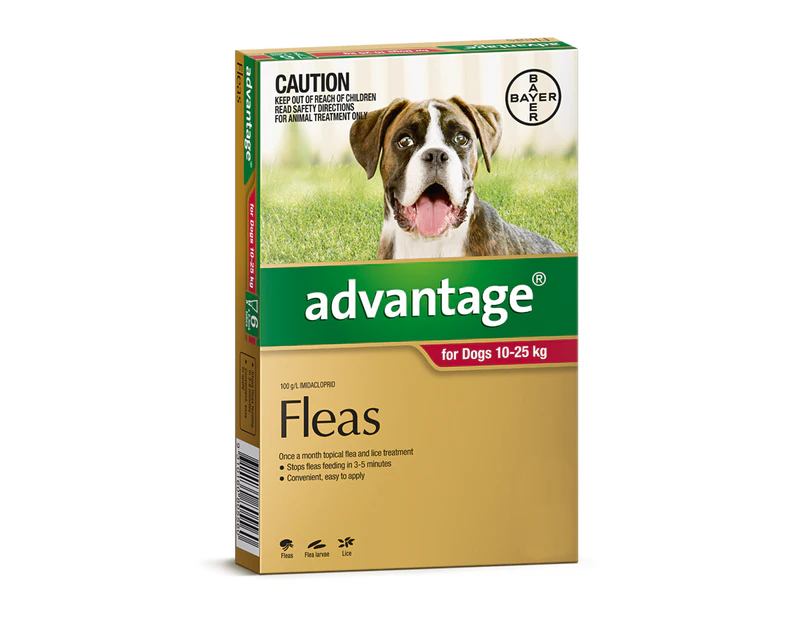 Advantage for Dogs 10-25 kgs - 4 Pack - Red - Flea Control Treatment (Bayer)