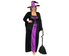 Wicked Witch Black & Purple Costume - Adult Plus