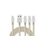 Catzon 1M 2M 3M 4Packs USB Type C Cable Nylon Braided Phone Cable Fast Charger Cable USB Cord -Gold Silver