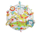 Fisher-Price Colourful Carnival Deluxe Play Gym