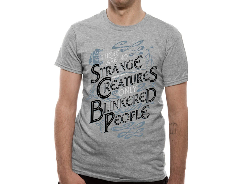 Crimes Of Grindelwald - Strange Creatures Men's X-Large T-Shirt - Grey