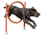 Easy Assemble Dog Pet Agility Hoop With 6 Height Positions Fun Exercise.