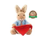 Beatrix Potter Peter Rabbit Peek-A-Boo Plush Toy