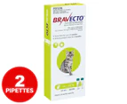 Bravecto Spot-On Solution For Small Cats 1.2-2.8kg 2pk