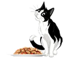 12 x Felix Sensations Jellies Favourites Menu Cat Food 85g
