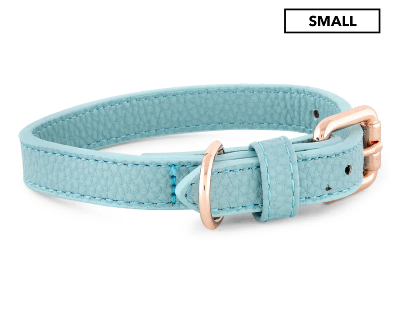 Dudley's World Of Pets Small Dog Collar - Teal