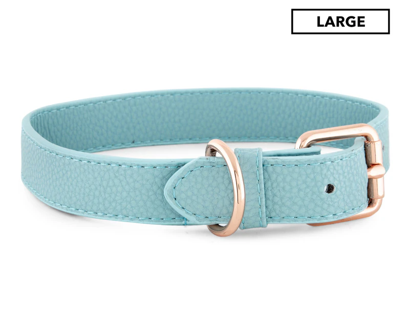 Dudley's World Of Pets Large Dog Collar - Teal