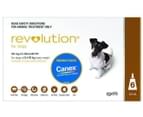 6pk Revolution Flea, Heartworm & Ear Mite Treatment For Dogs 5-10kg + Bonus Canex Intestinal Wormer 2