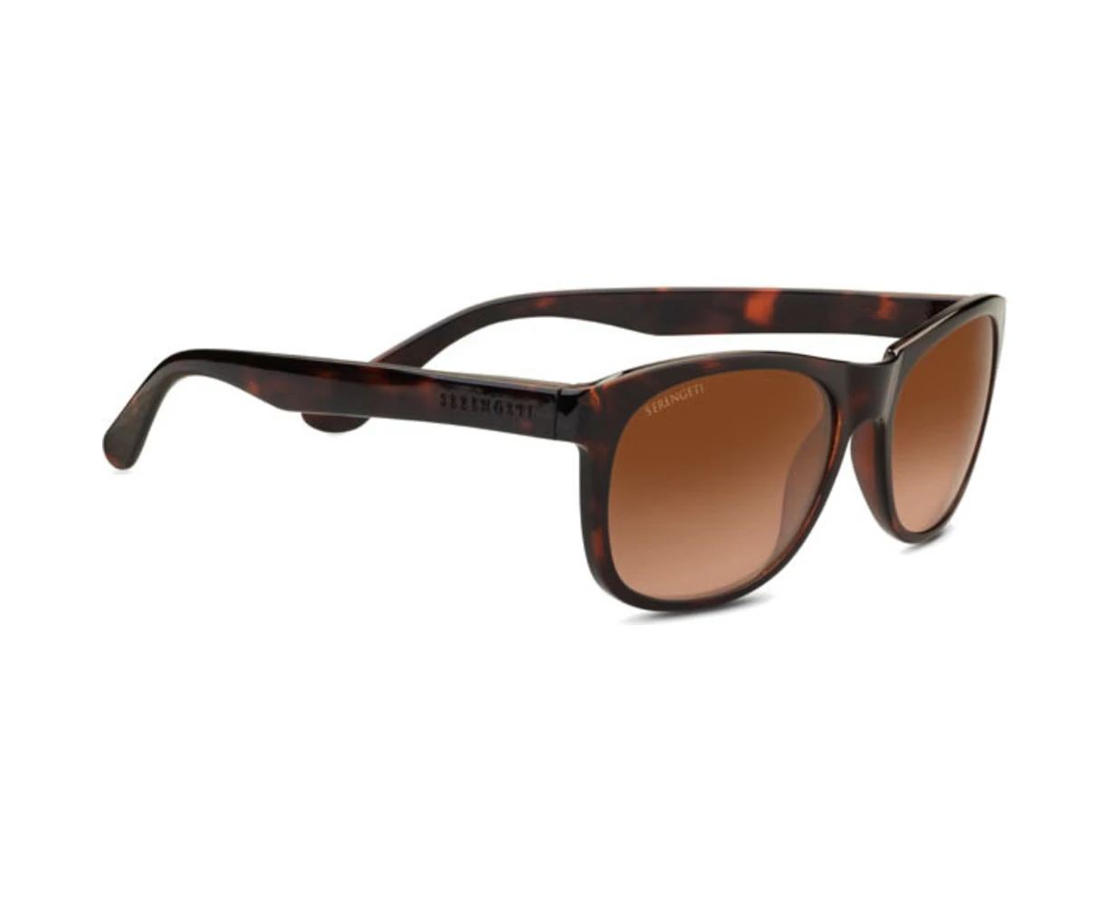 Serengeti Anteo 8671 Shiny Dark Tortoise / Drivers Gradient Polarised Photochromic Lenses