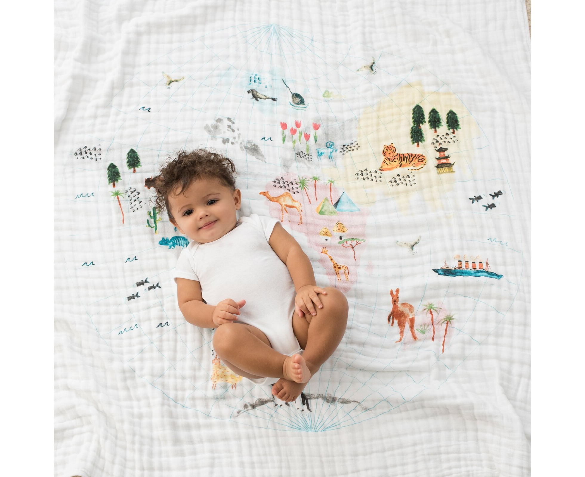 aiden and anais blanket