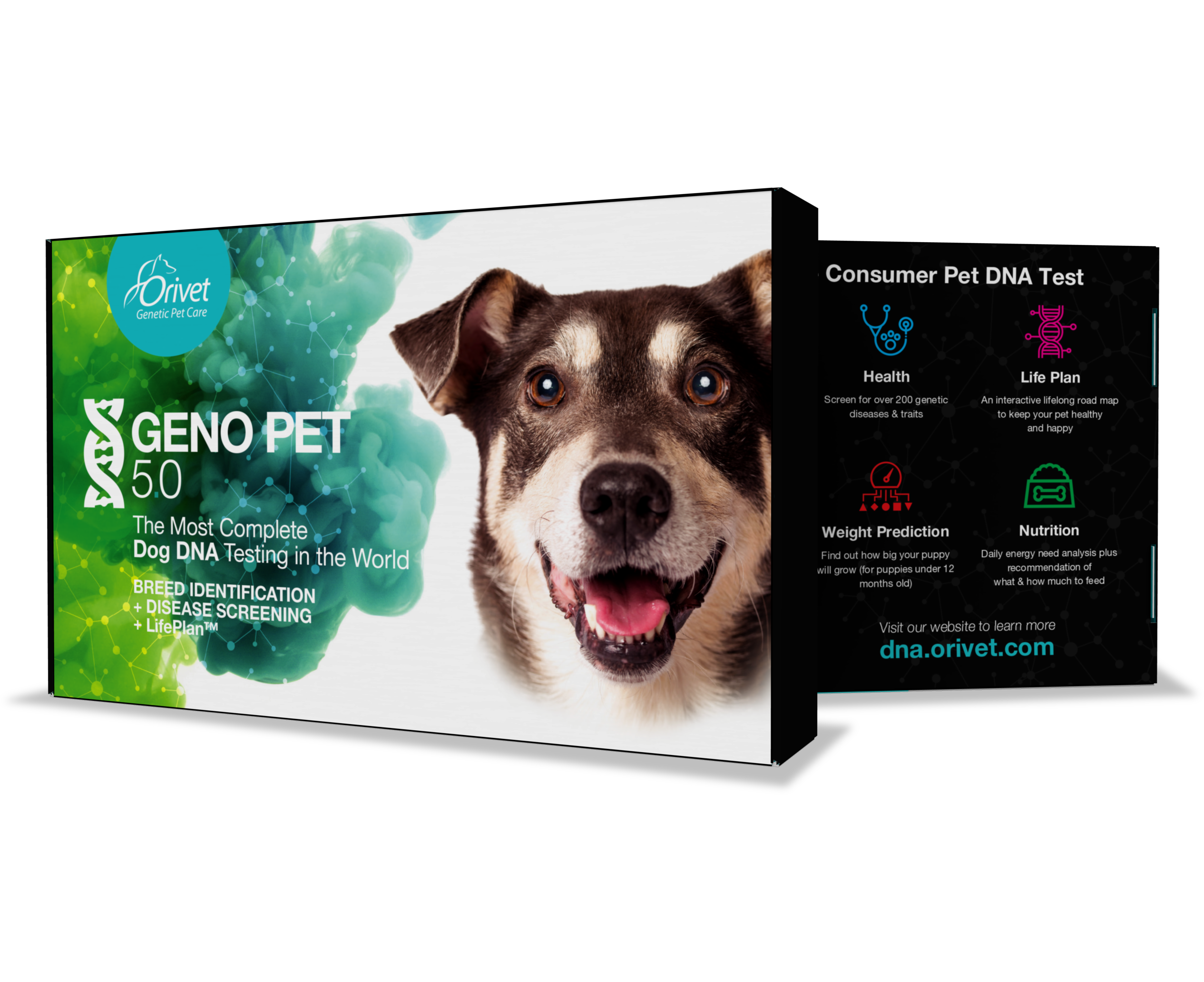 Puppy clearance genetic testing