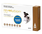 Revolution + Canex For Dogs 5.1kg - 10kg 6pk