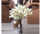 Large Cherry Blossom Tree - Pink or White Branches  - 1.8m Height