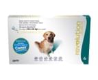 6pk Revolution Flea Treatment For Large Dogs 20.1-40kg 2