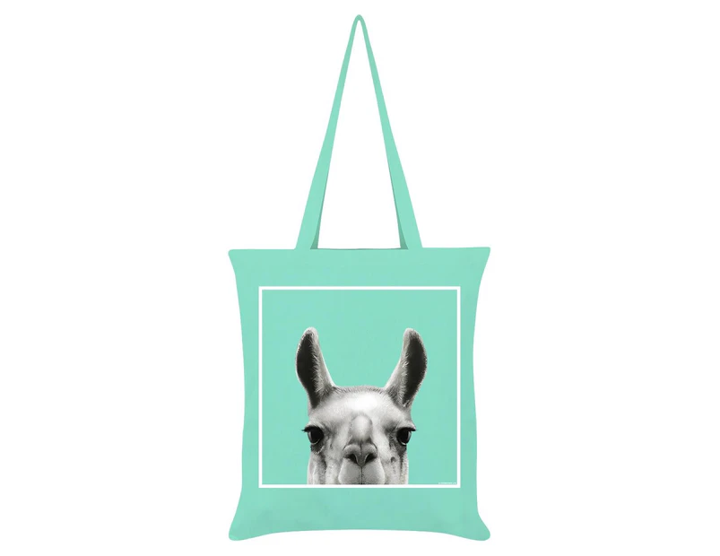 Inquisitive Creatures Llama Tote Bag (Mint) - GR1498