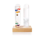 Dual Weather Station | Storm Glass & Galileo Thermometer