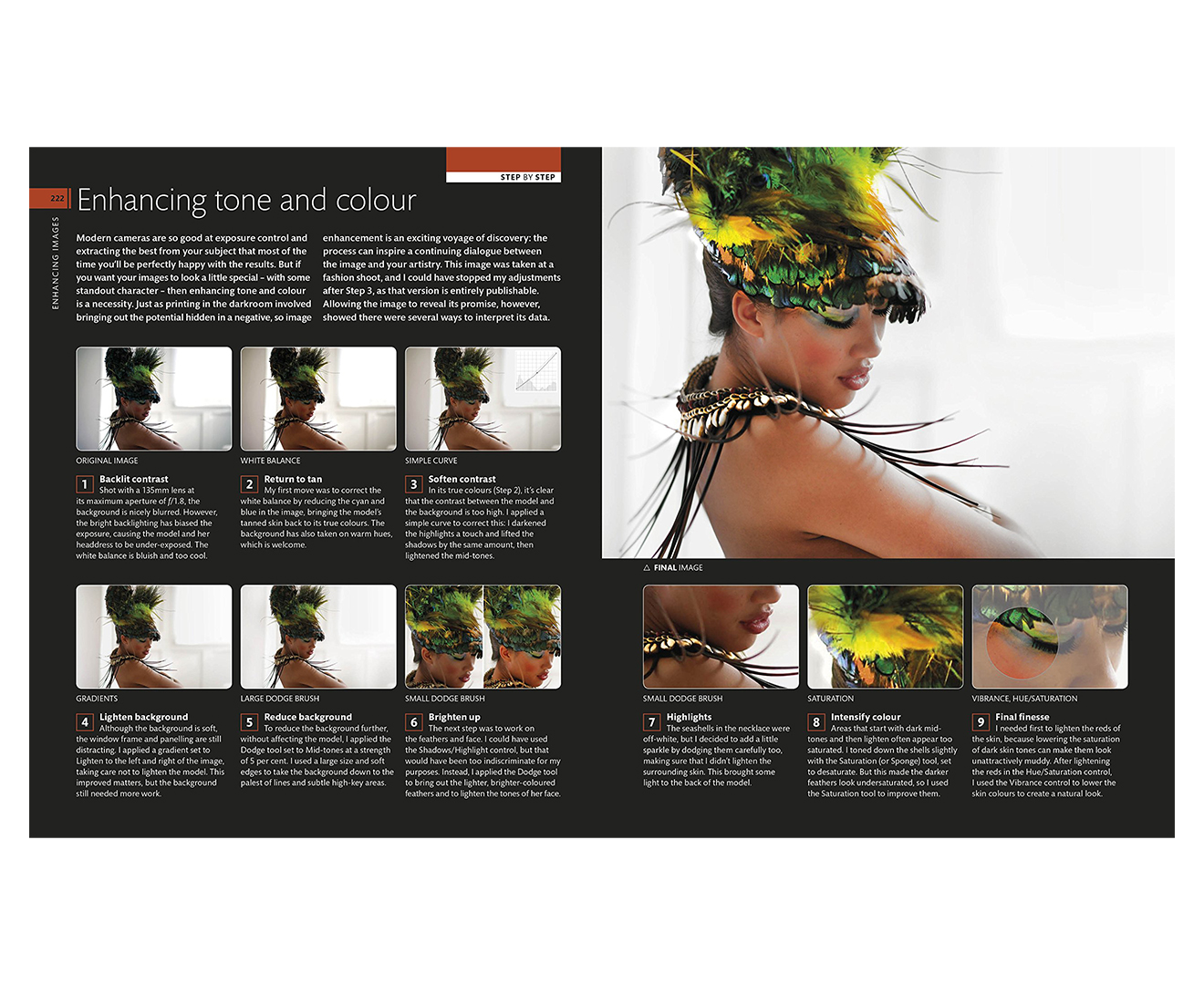 Digital Photography Step By Step Hardcover Book by Tom Ang | Catch.co.nz