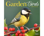 Garden Birds 2020 Wall Calendar - Closed Size : 30 x 30 cm (12 x 12 Inches)