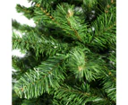 Christmas Tree 6ft 1.8m DAKOTA Green Hinged 498 Tips Free Tree Bag Free Tree Bag