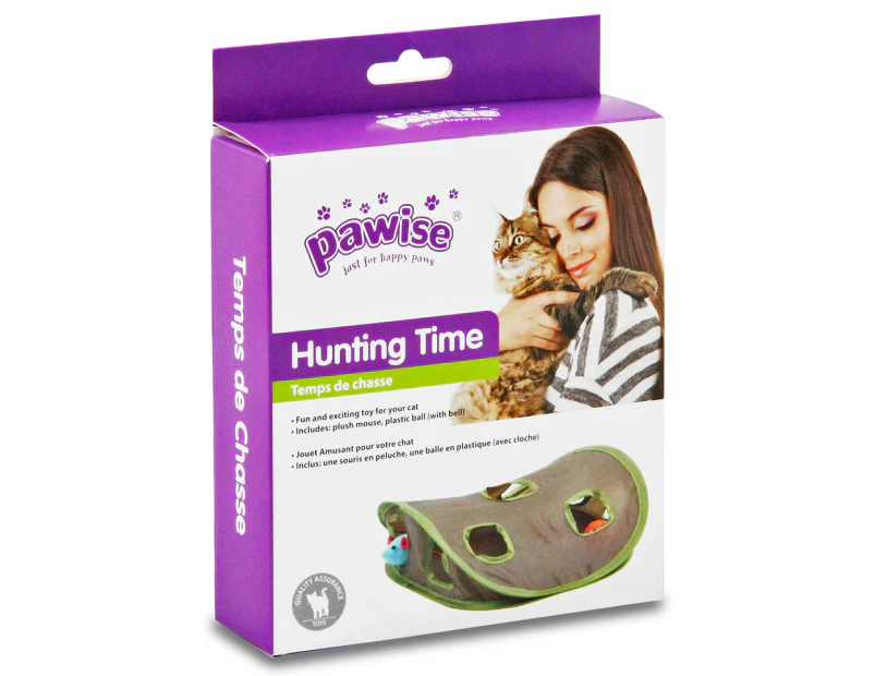 Pawise Mouse Hunt Cat Toy