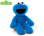 Sesame Street Cookie Monster 33cm Take Along Plush Toy