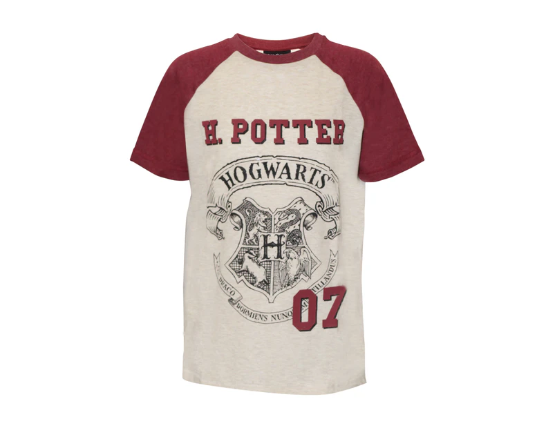 Harry Potter Childrens/Kids Hogwarts T-Shirt (Oatmeal Marl) - PG108