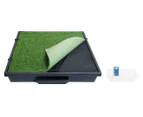 PetSafe Medium Pet Loo & Grass Mat