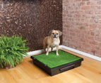 PetSafe Medium Pet Loo & Grass Mat