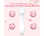Electric Facial Massager Cleaner