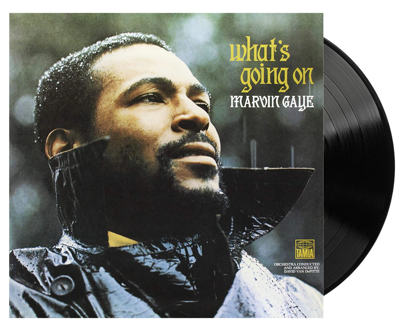 Marvin Gaye What'S Going On - Vinyl Album