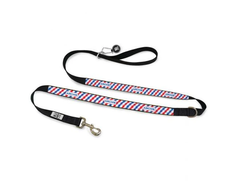 Picnic Time Dog Lead - Green