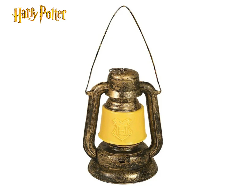 Harry Potter Lantern Costume Accessory