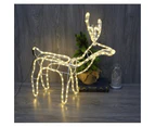 3D LED Rope Light - Standing Reindeer - Plugin