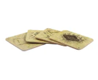 Harry Potter Marauders Map Cold Reveal Coasters 4-Pack