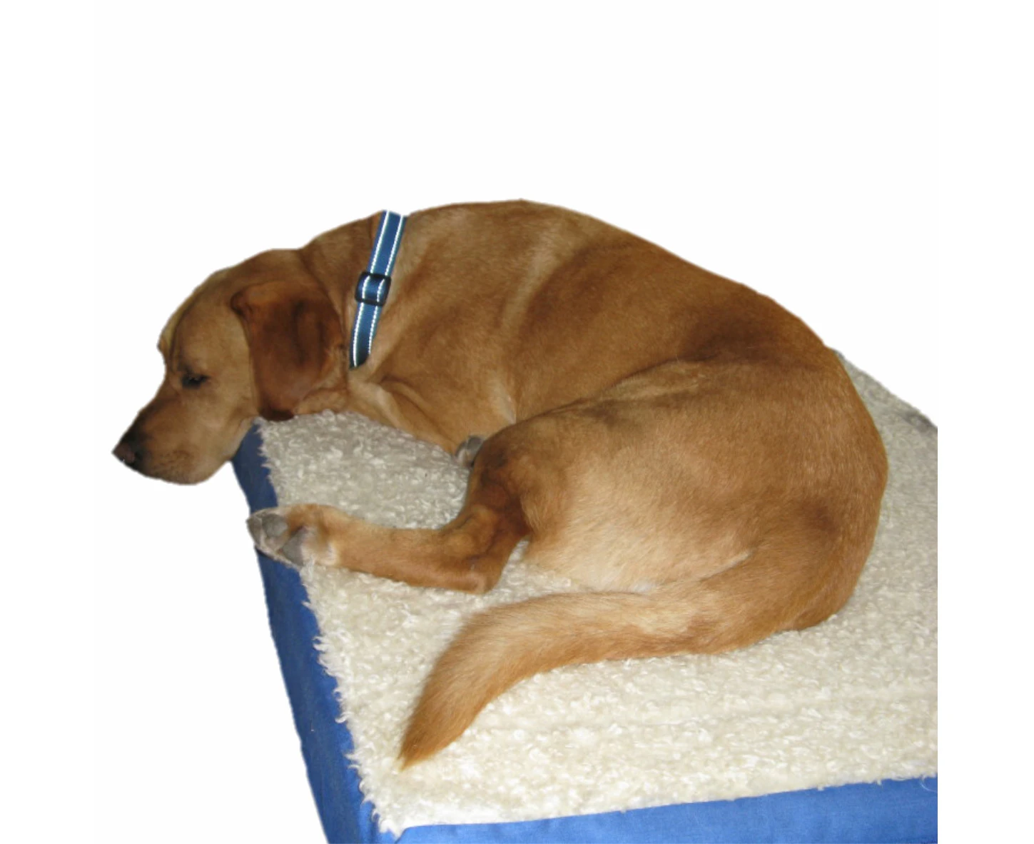 Dick Wicks Wool Pet Bed with magnets for arthritic dogs cats (replacement cover only, foam not included).