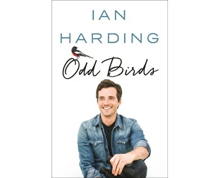 Odd Birds - Paperback