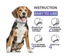 Flea Collar Dogs 8-month Flea and Tick Prevention 3 PACK
