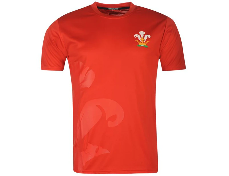 Team Rugby Mens Poly T Shirt Crew Neck Tee Top Short Sleeve Regular Fit Print