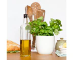Argon Tableware Square Olive Oil / Vinegar Utensil Bottle With Tapor Pourer - 500ml - Pack of 2