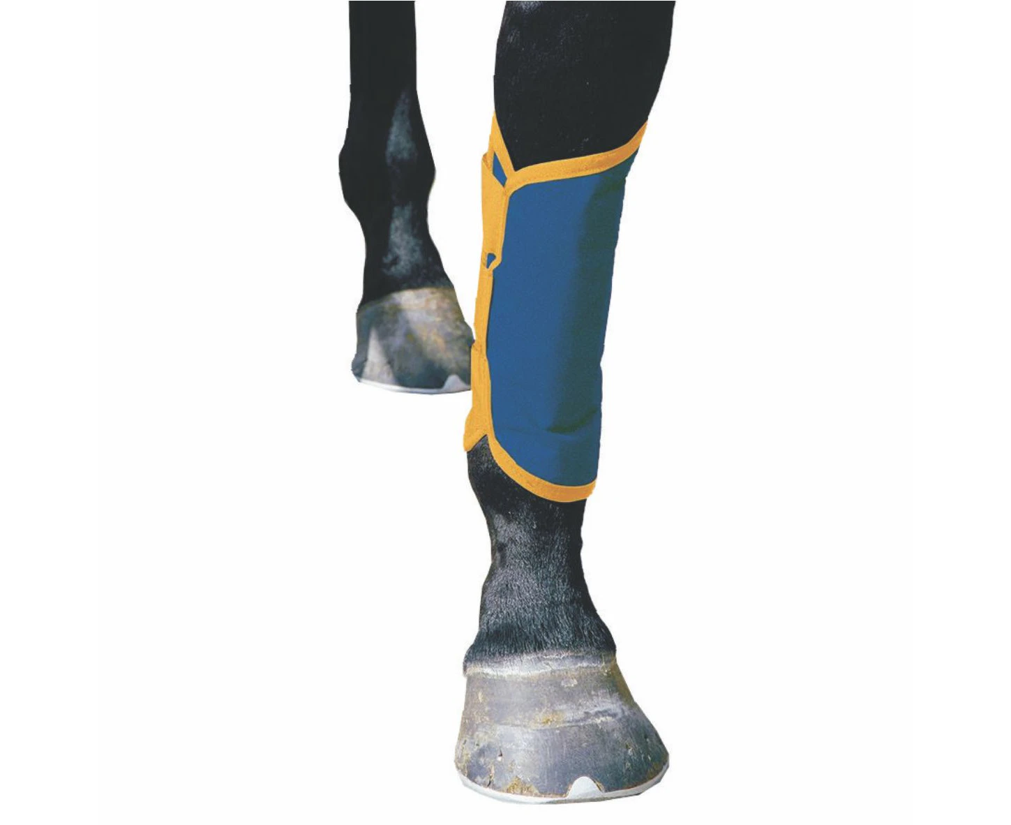 Dick Wicks Magnetic Shin/Tendon Horse Boot One Size