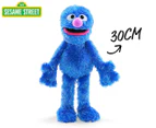 Gund Sesame Street Grover Plush Toy