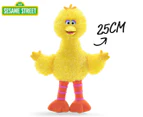 Gund Sesame Street Big Bird Plush Toy
