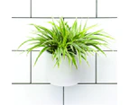 Urban Lines Okidome Suction Planter